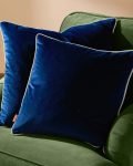meridian velvet cushion