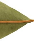 velvet accent cushion