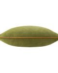 piped velvet cushion