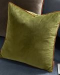 luxury velvet cushion