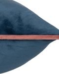 soft velvet decorative cushion