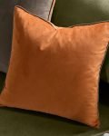 bedroom velvet cushion