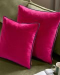 living room velvet cushion