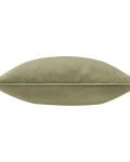 plain velvet cushion