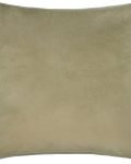 meridian velvet cushion