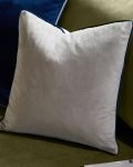 modern velvet cushion