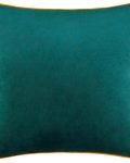 designer velvet cushion for sofa