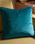 decorative velvet cushion