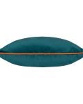 velvet accent cushion