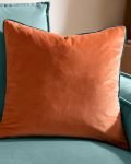 meridian velvet cushion